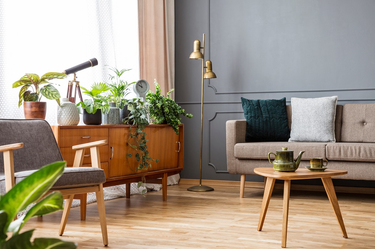 modern livingroom with plants
