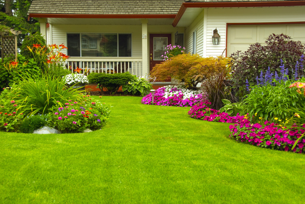 Landscaped lawn