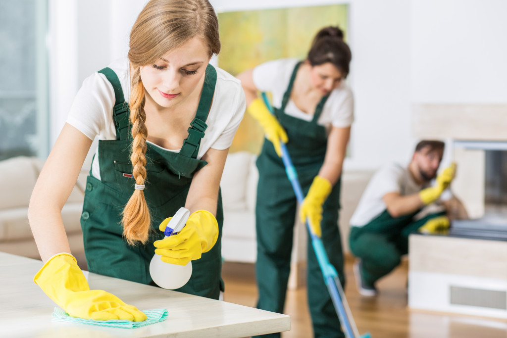 home cleaners in action